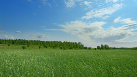 A Stunningly Vibrant Green Landscape Set Beneath a Bright and Clear Blue Sky Aboveの写真素材