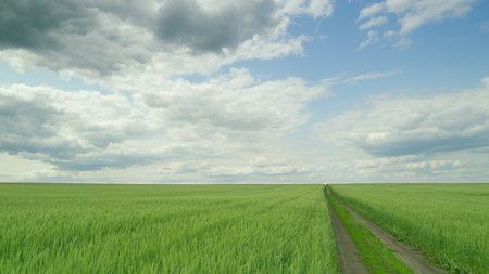 Expansive Green Fields Stretching Under Dramatic Skies That Inspire a Sense of Wonderの写真素材