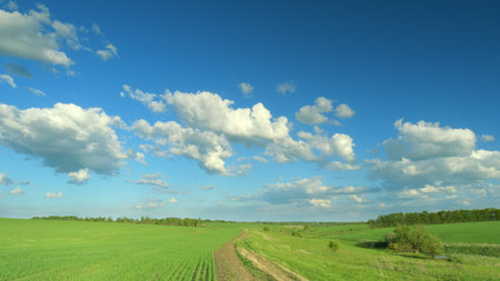 Stunningly Beautiful, Lush Green Fields Coexisting Under a Clear and Bright Blue Sky Time lapse.の写真素材
