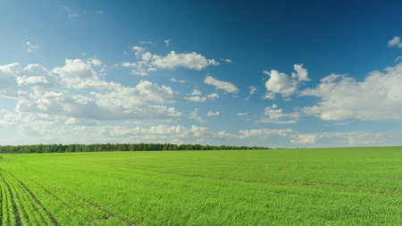 A vast green landscape combined with a beautiful blue sky adorned with fluffy clouds Time lapse.の写真素材