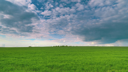 A vast green field sprawls beautifully under a dramatic and captivating sky above it Time lapse.の写真素材