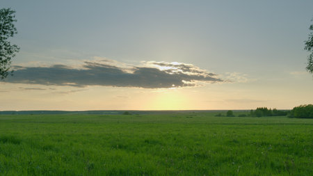 A Beautiful Scenic Sunrise Over a Vast Green Field Awaits to Be Admired and Enjoyedの写真素材