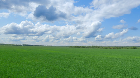 Lush and Vibrant Green Fields Set Against a Beautiful Cloudy Sky Above the Countrysideの写真素材