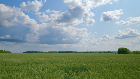 Expansive, Lush Green Fields Stretching Beneath Bright and Fluffy Cloudy Skies Aboveの写真素材
