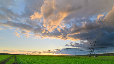 A breathtaking sunset over vast Green Fields that feature a welldesigned Irrigation Systemの写真素材