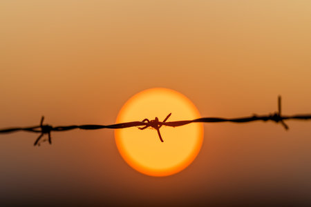A striking image of barbed wire beautifully silhouetted against a vibrant sunset skyの写真素材