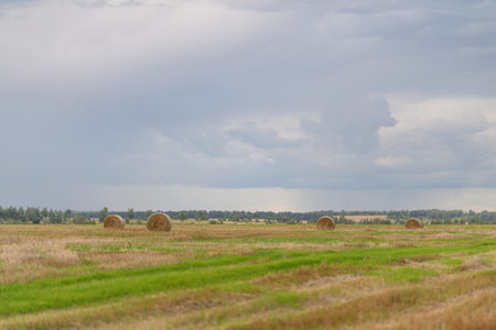A beautiful golden bale sits prominently on an agricultural field beneath a clear blue sky