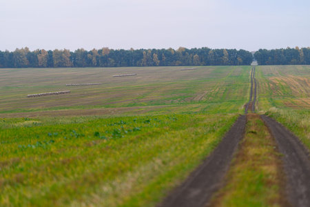 A Serene Country Road That Winds Through Lush Green Fields And Beautiful Surroundings