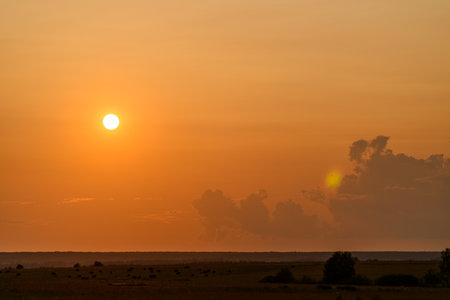 A Beautiful Golden Sunset Over the Horizon with Soft and Dreamy Clouds Surrounding Itの写真素材