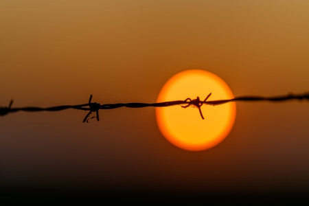 The Sunset Behind Barbed Wire Represents a Profound Symbol of Restriction and Beauty