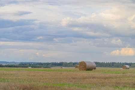 A Serene Countryside Landscape Features Hay Bales Located Beneath a Beautiful Cloudy Skyの写真素材