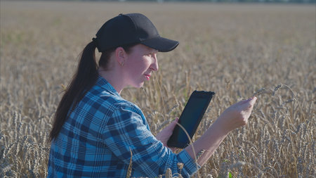 A young woman using a tablet in a serene field for agricultural analysis and researchの写真素材