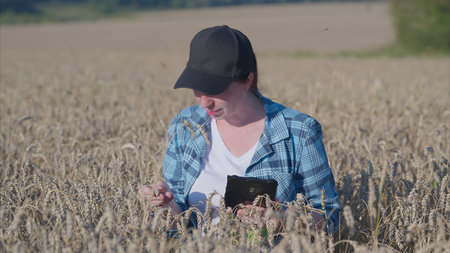A woman uses her tablet in a vast wheat field, showcasing agricultures digital age