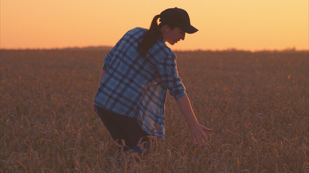 A Woman Engaged in Harvesting Crops at Sunset in a Beautiful Open Field Landscape