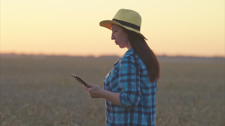 A Woman Using a Tablet Amidst a Stunning Fiery Sunset Over a Vast Wheat Field Landscapeの写真素材