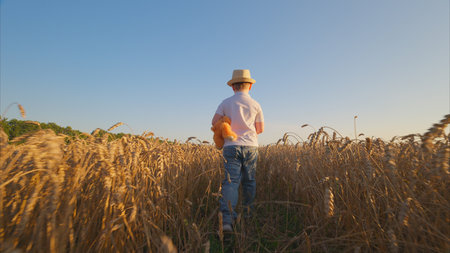 A young child joyfully walking through a beautiful wheat field during a stunning sunset