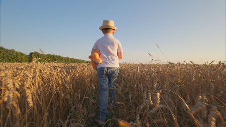 A Child Joyfully Exploring in a Wheat Field at Sunset Amidst Nature and the Countrysideの写真素材