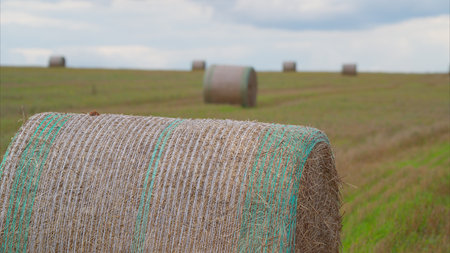 Golden Fields adorned with Hay Bales set against the backdrop of a Cloudy Days sky