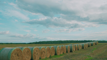 Serene Hay Bales Resting Under a Peacefully Cloudy Sky in the Beautiful Countrysideの写真素材