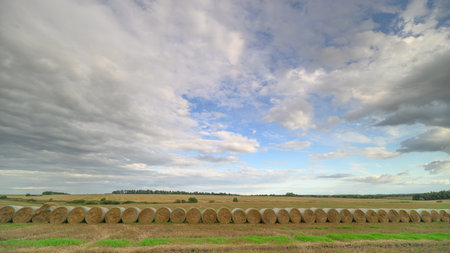 A beautiful and scenic rural landscape featuring hay bales beneath a cloudy sky above