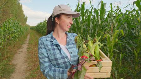 A Woman Engaged in the Joyful Activity of Harvesting Fresh Vegetables in a Vibrant Cornfield