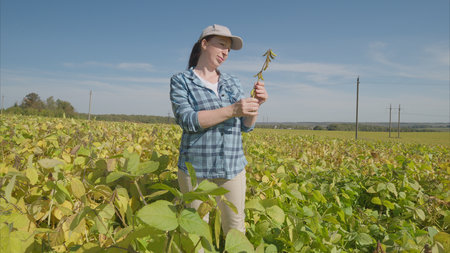 A Woman Carefully Examining soybeans Crops in a Lush Green Field Beneath a Bright Blue Sky