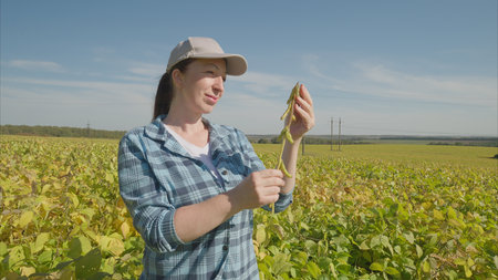 A woman is analyzing different crops in a soybeans to ensure their health and growth