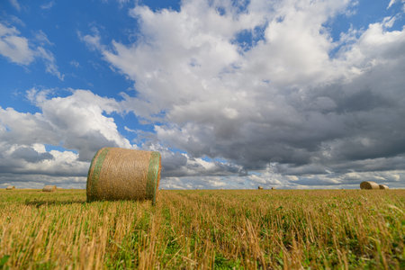 A Rolling Hay Bale Under a Beautiful Blue Sky Accompanied by White Fluffy Clouds