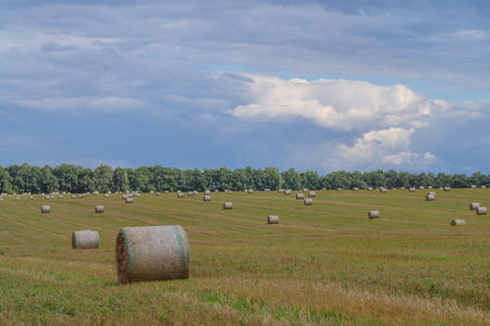 Vast Expansive Fields Filled with Round Hay Bales Set Beneath a Dramatic and Beautiful Skyの写真素材