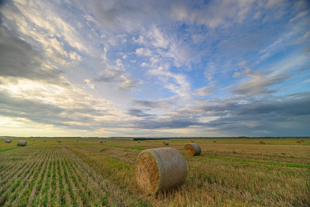 A Serene Landscape Featuring Hay Bales Under an Expansive and Beautiful Sky, Perfect for Enjoymentの写真素材