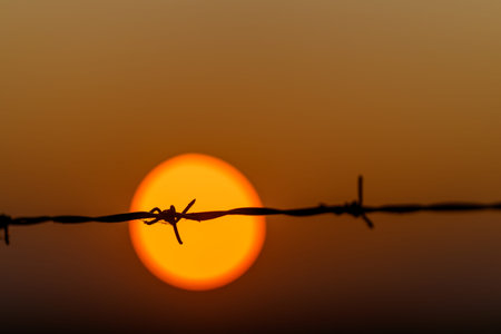 The Majestic Sunrise Illuminates the Landscape Behind a Barrier of Barbed Wire Fencing