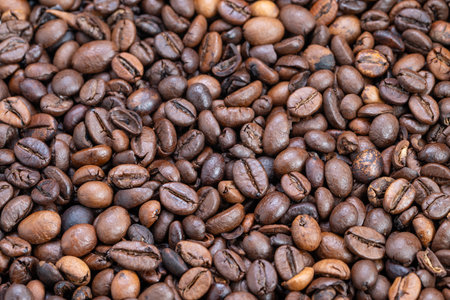 Natural lighting highlights color variation in beans, Surface design emphasizing natural hues...
