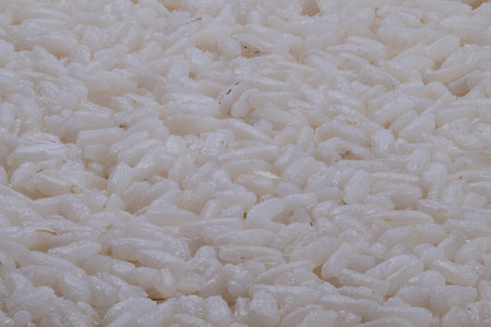 Glossy boiled rice soft sheen on grains tranquil white surface creating serene celebratory mood for cultural imageryの写真素材