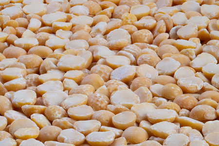 Golden yellow pea pattern, Detailed image of yellow split peas with textured surface, Natural yellow pea texture highlighting dense layered pattern suitable for packagingの写真素材