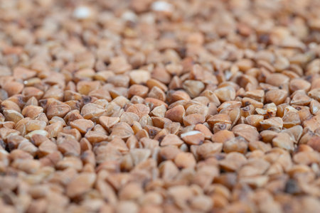 Cooking preparation shown through buckwheat grains and tactile handling. Rustic culinary scene emphasizing ingredient measurement and manual recipe assembly stepsの写真素材
