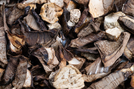Dried mushrooms presentation, Pantry ingredient for culinary use, Thinly sliced mushrooms for recipe prep, Dried fungi arranged for professional kitchen display purposesの写真素材