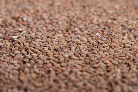 Warm buckwheat grains with sheen, Closeup of rustic buckwheat with natural tones, Macro shot showcasing individual buckwheat grains with warm tones and subtle shineの写真素材