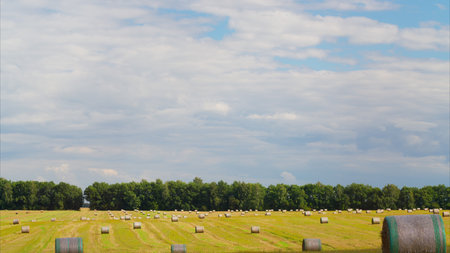 A Serene Field of Hay Bales Spreading Beneath a Vast, Expansive Sky Filled with Clouds