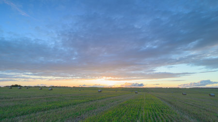Stunningly Beautiful Sunset Over a Vibrant Agricultural Field Full of Life and Color