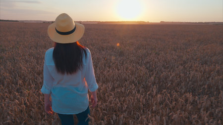 Take a Serene and Peaceful Sunset Walk in the Golden Wheat Field under the tranquil sky
