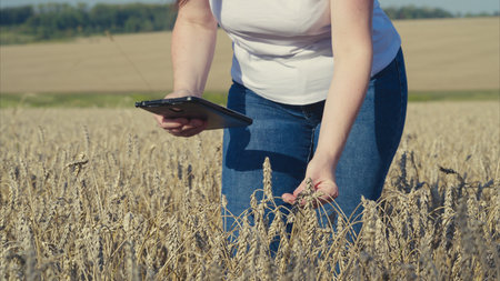 Innovative Farming Where CuttingEdge Technology Converges with Agriculture in the Field