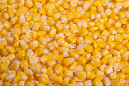 Close up fresh sweet corn kernels glistening with moisture, food stylist preparing salad ingredient,...