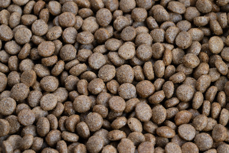 Closeup rustic wholegrain pet kibble showcasing uneven surfaces and grain flecks, evokes wholesome...