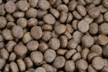 Closeup natural kibble highlighting whole grain, visible fiber flecks and warm earthy tones,...