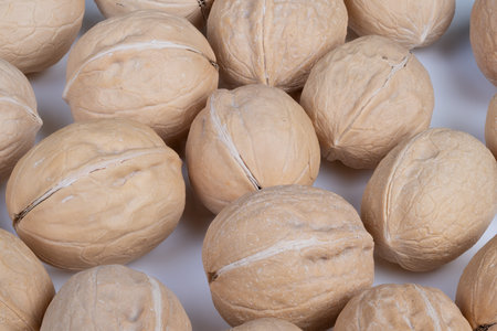 Rustic walnut shell arrangement. Seasonal seasonal and holiday themed walnut bowl setup....