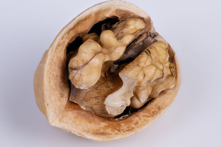 Brain nut analogy. Walnut representing mental faculties and cognitive health ideas. Illustration of...