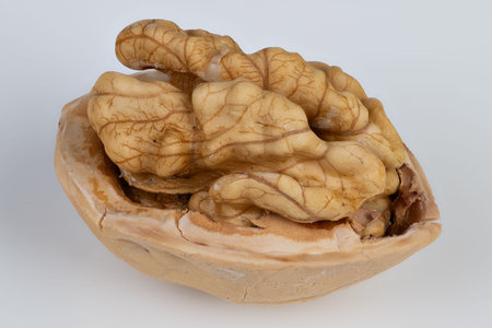 Isolated walnut half showcasing omega fatty acids for health benefits. Clean white backdrop features...