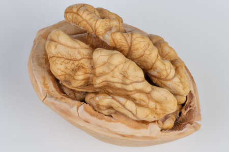 Walnut halves show nutritional benefits. Rich walnut pieces emphasize healthpromoting nutrients and...