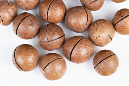 Uncooked macadamia nut shells arranged on white surface for culinary display. Visual presentation of...