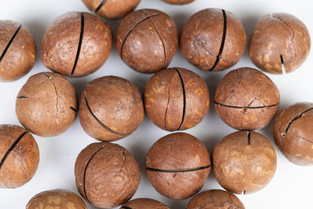 Macadamia snack visual presentation. Product shoot showcasing crunchy macadamia treats. Marketing imagery featuring assorted macadamia nuts for health-conscious snack campaignsの写真素材